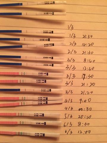 journal_insert_pic_687255964