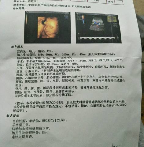 journal_insert_pic_688484120