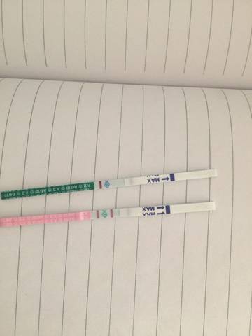 journal_insert_pic_688109100