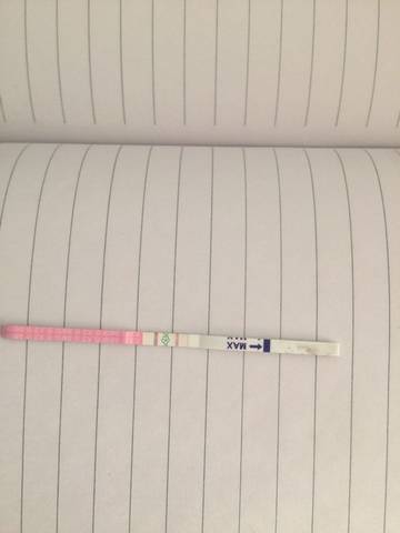 journal_insert_pic_688109088