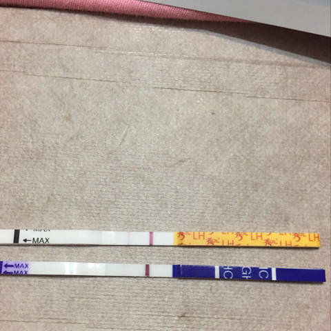journal_insert_pic_688212430