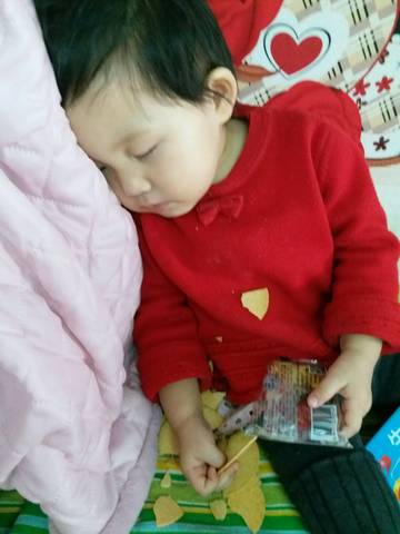 journal_insert_pic_689934543