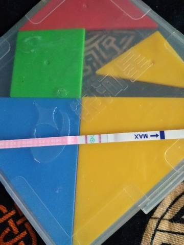 journal_insert_pic_689471731