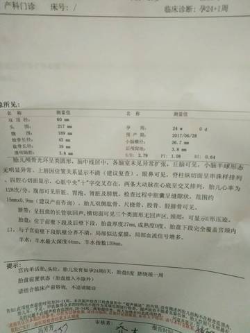 journal_insert_pic_689264428