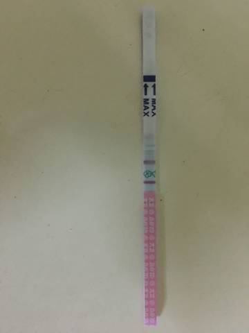 journal_insert_pic_690125588