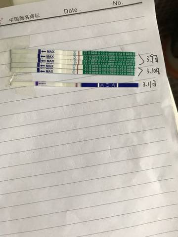 journal_insert_pic_692452123