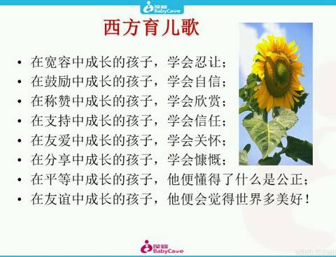 journal_insert_pic_692950968