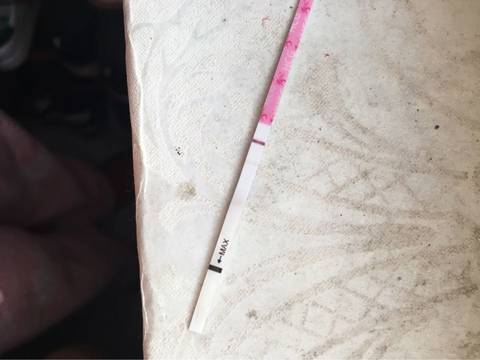 journal_insert_pic_693384226