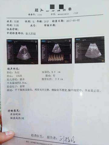 journal_insert_pic_693420211