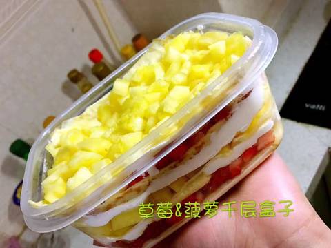 journal_insert_pic_694273451