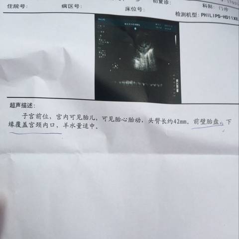 journal_insert_pic_693979129
