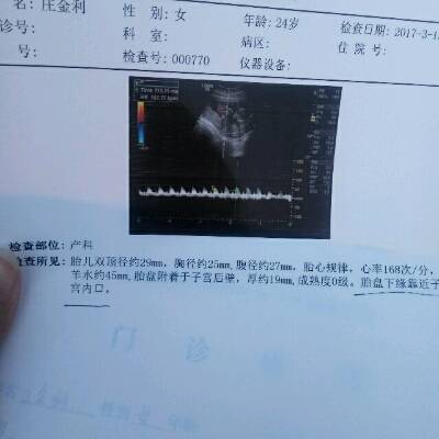 journal_insert_pic_694129592