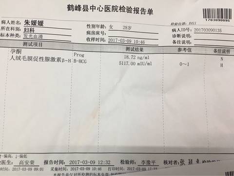 journal_insert_pic_694947401