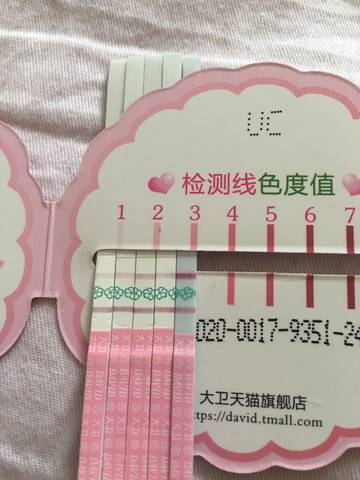 journal_insert_pic_694886397