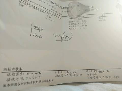 journal_insert_pic_694931996
