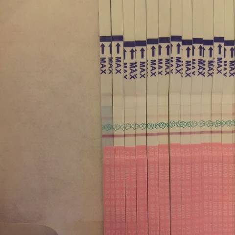 journal_insert_pic_695963454