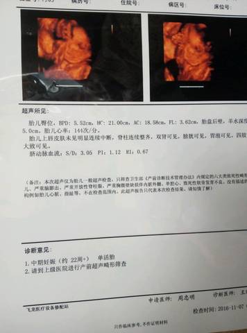 journal_insert_pic_695639439