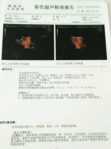 journal_insert_pic_695567093