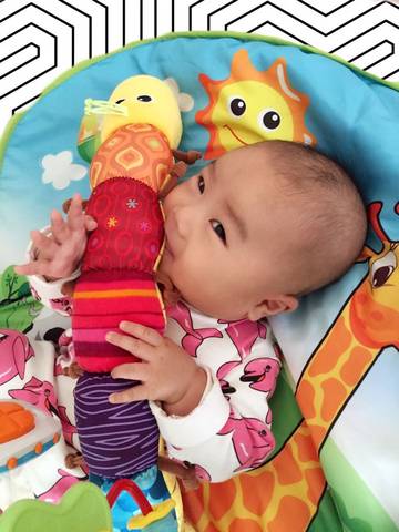 journal_insert_pic_696419095