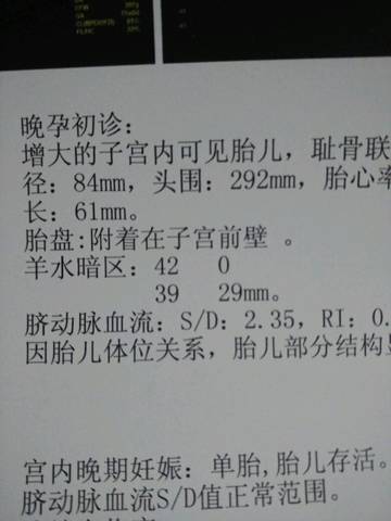 journal_insert_pic_696603758