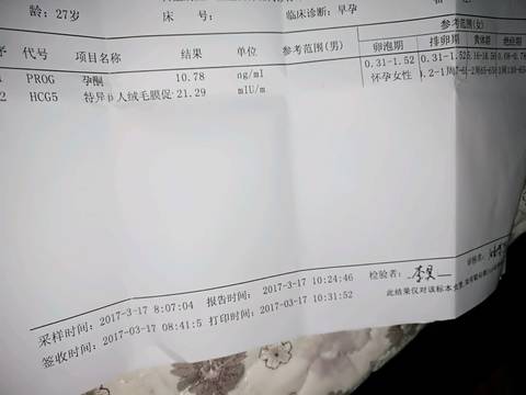 journal_insert_pic_696089899
