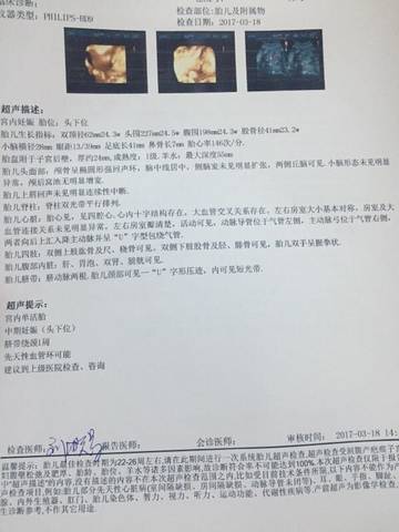journal_insert_pic_697509583