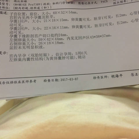 journal_insert_pic_698083725