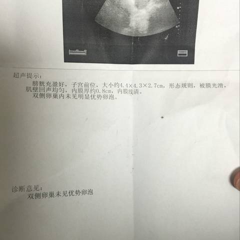 journal_insert_pic_698840361