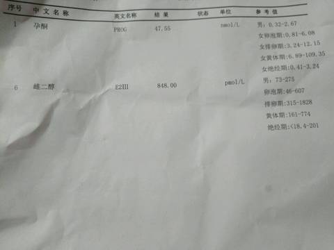 journal_insert_pic_699086849