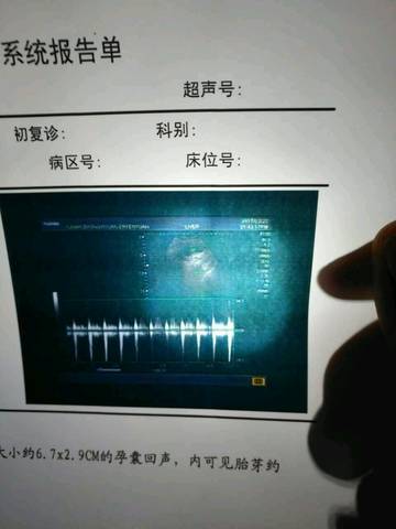 journal_insert_pic_698619392