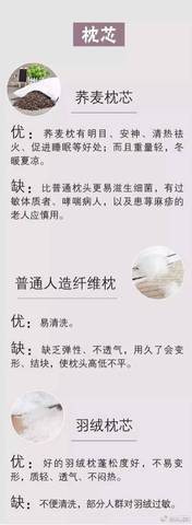 journal_insert_pic_699132525
