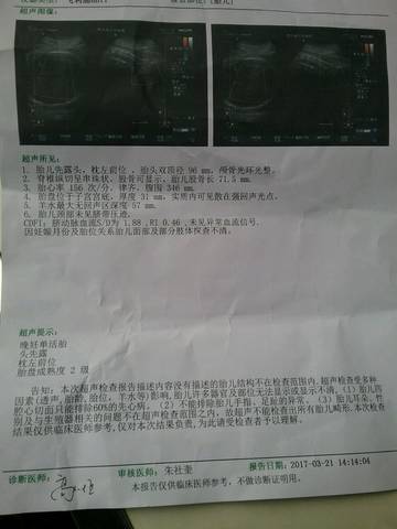 journal_insert_pic_699391641