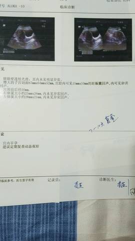 journal_insert_pic_699603373