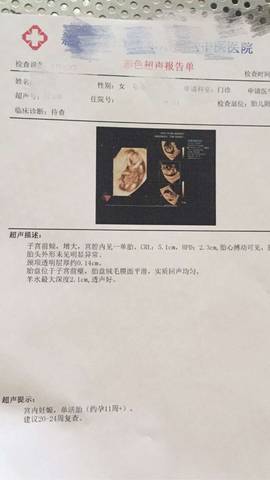 journal_insert_pic_699287062