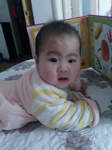 journal_insert_pic_700267192