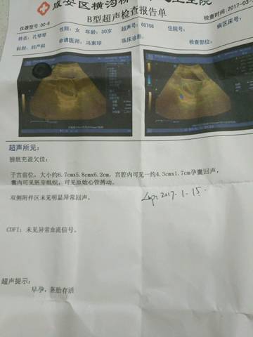 journal_insert_pic_700054744