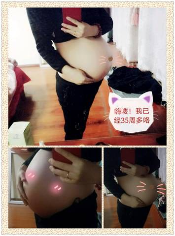 journal_insert_pic_701296071