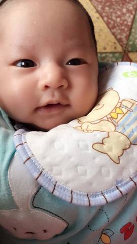 journal_insert_pic_701454454