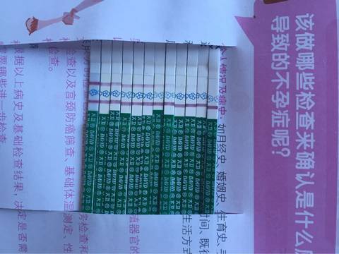 journal_insert_pic_702227046