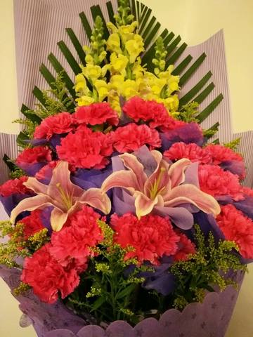 journal_insert_pic_702941422