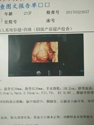 journal_insert_pic_703218631