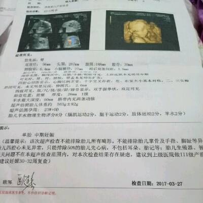 journal_insert_pic_703427688