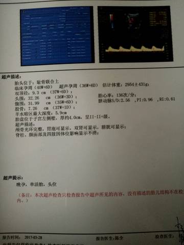 journal_insert_pic_703852563