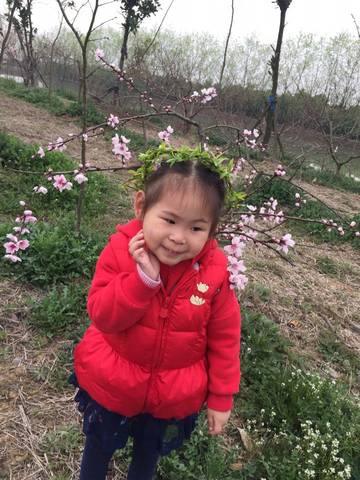 journal_insert_pic_703942215
