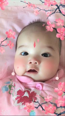 journal_insert_pic_704145521