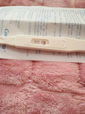 journal_insert_pic_704478794