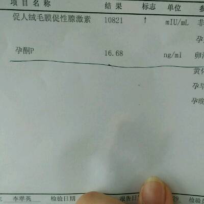 journal_insert_pic_704734437