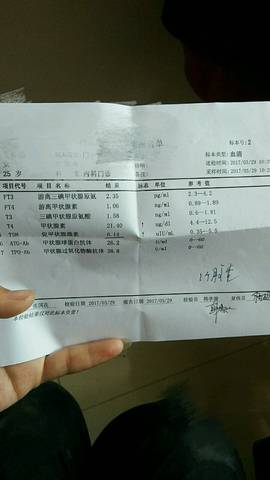 journal_insert_pic_704799309