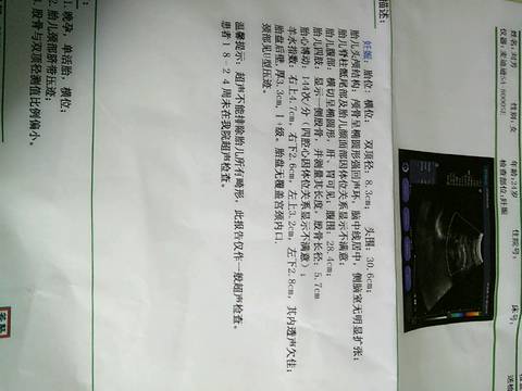 journal_insert_pic_704598452