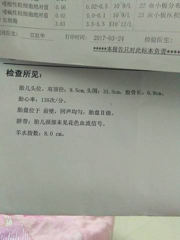 journal_insert_pic_705691922